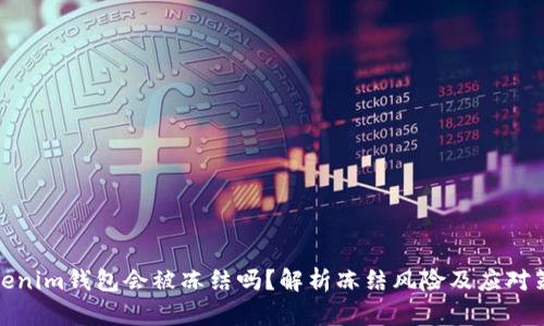 Tokenim钱包会被冻结吗?解析冻结风险及应对策略
