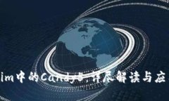 Tokenim中的Candy5:详尽解读与应用前景