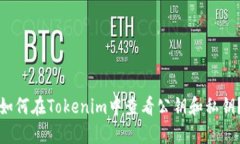 如何在Tokenim中查看公钥和私钥?