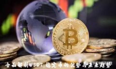 全面解析USDT:稳定币的优势与未来趋势