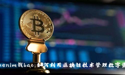 Tokenim钱bao:如何利用区块链技术管理数字资产