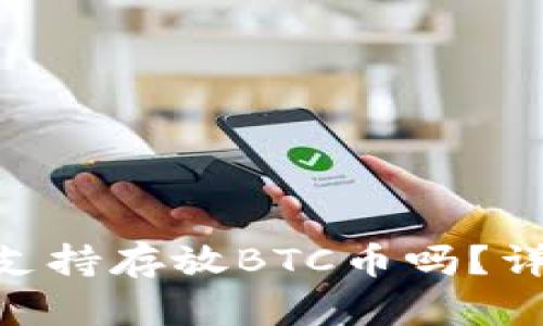 tokenim钱包支持存放BTC币吗?详细解析与指南
