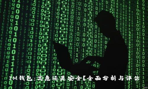 IM钱包:高危还是安全?全面分析与评估