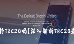 ### Tokenim支持TRC20吗?深入解析TRC20和Tokenim的兼容