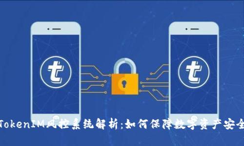 TokenIM风控系统解析:如何保障数字资产安全