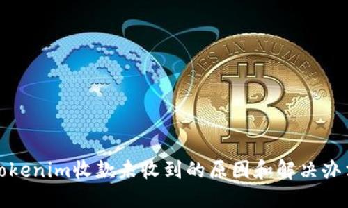 Tokenim收款未收到的原因和解决办法
