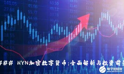 ### HYN加密数字货币:全面解析与投资前景