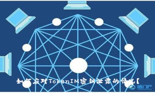 如何应对TokenIM密钥泄露的情况?