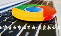 2023年加密货币市场黑马:投资机会与风险解析