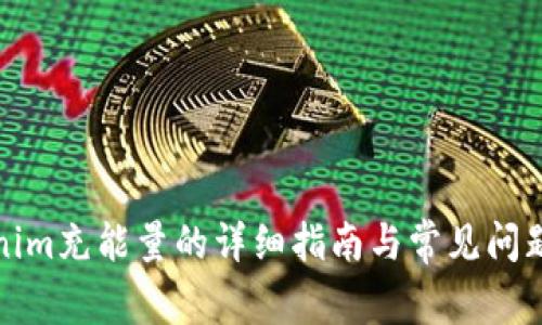 Tokenim充能量的详细指南与常见问题解答