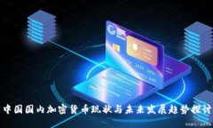 中国国内加密货币现状与未来发展趋势探讨