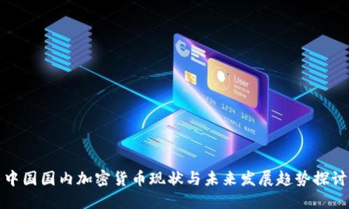 中国国内加密货币现状与未来发展趋势探讨