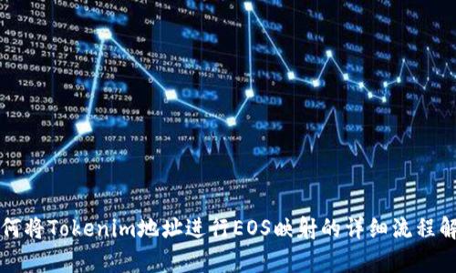 如何将Tokenim地址进行EOS映射的详细流程解析