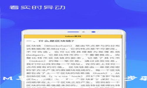 如何将IM导入钱包:详细步骤与技巧