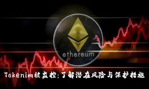 Tokenim被监控：了解潜在风险与保护措施