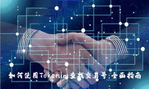 如何使用Tokenim查找交易号:全面指南