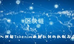 深入理解Tokenim映射私钥的机制与应用