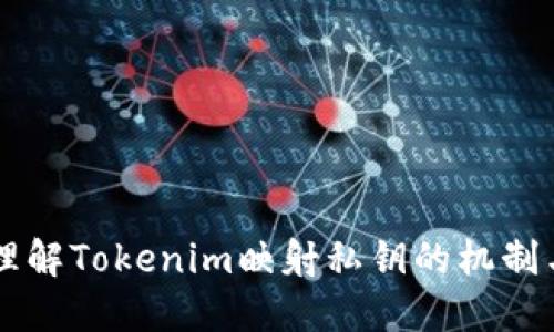 深入理解Tokenim映射私钥的机制与应用