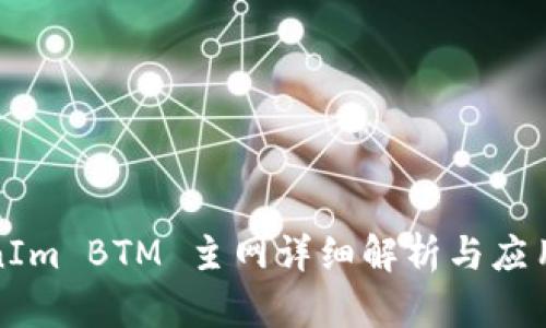 TokenIm BTM 主网详细解析与应用指南