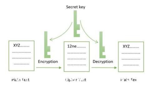 : Tokenim的E-Doge：一种新兴的加密货币如何改变数字资产的未来
