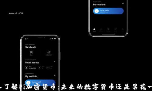 
深入了解Pi加密货币：未来的数字货币还是昙花一现？