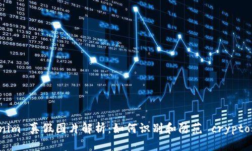 Tokenim 真假图片解析：如何识别和防范 cryptoscam