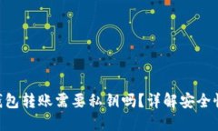 : Tokenim钱包转账需要私钥吗？详解安全性及使用