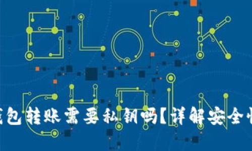 : Tokenim钱包转账需要私钥吗？详解安全性及使用指南