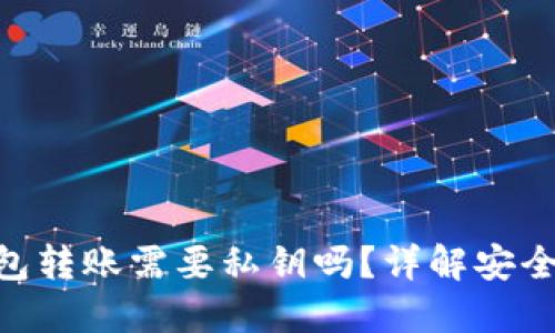 : Tokenim钱包转账需要私钥吗？详解安全性及使用指南