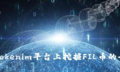 如何在Tokenim平台上挖掘FIL币的全面指南