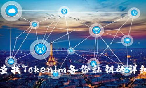 如何查找Tokenim备份私钥的详细指南