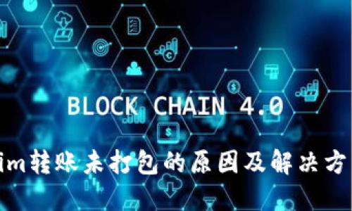 Tokenim转账未打包的原因及解决方法详解