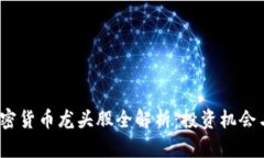 2023年加密货币龙头股全解析：投资机会与风险评