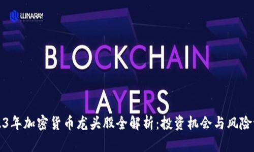 2023年加密货币龙头股全解析：投资机会与风险评估