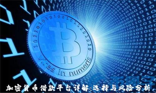 加密货币借款平台详解:选择与风险分析