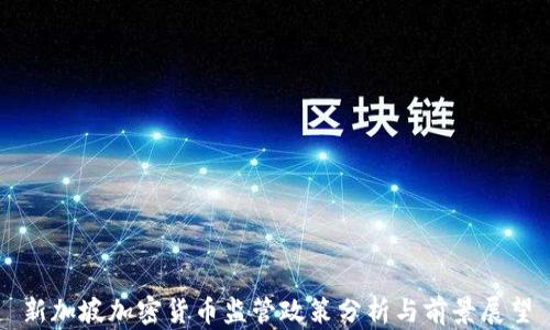 新加坡加密货币监管政策分析与前景展望