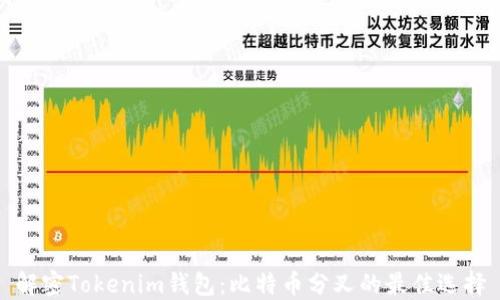 解密Tokenim钱包:比特币分叉的最佳选择