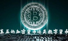 维卡币：真正的加密货币还是数字货币的误区？