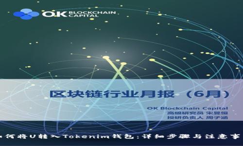 如何将U转入Tokenim钱包:详细步骤与注意事项