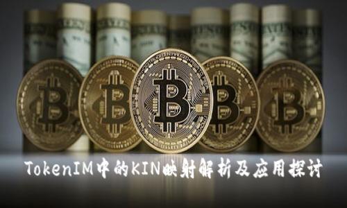 TokenIM中的KIN映射解析及应用探讨