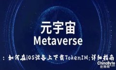 : 如何在iOS设备上下载TokenIM：详细指南