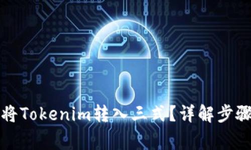 如何高效地将Tokenim转入三式？详解步骤与注意事项