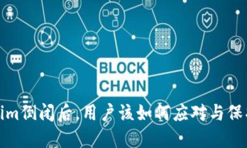 Tokenim倒闭后，用户该如何应对与保护资产