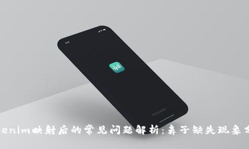 tokenim映射后的常见问题解析：鼻子缺失现象分析