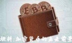 比特币燃料：加密货币的未来前景与挑战