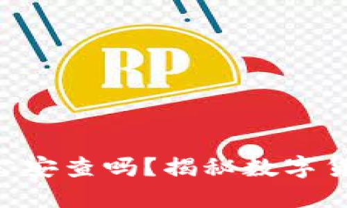 Tokenim会被公安查吗？揭秘数字货币安全与合规