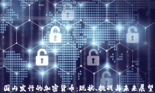 
国内发行的加密货币：现状、挑战与未来展望
