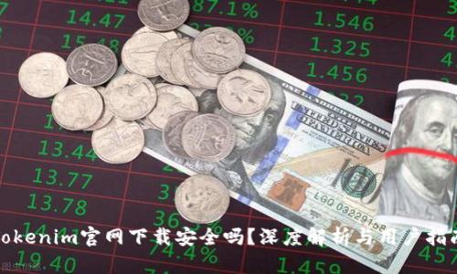 Tokenim官网下载安全吗？深度解析与用户指南