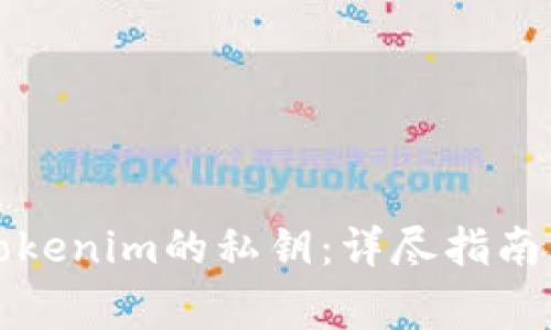 如何有效恢复Tokenim的私钥：详尽指南与常见问题解答