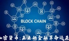 深入探讨加密货币：未来的金融革命还是泡沫幻